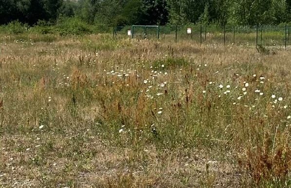 Image6