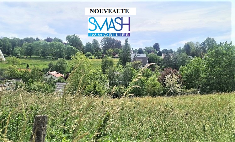 Vendu – Buschwiller : Beau terrain 5.78 ares avec vue